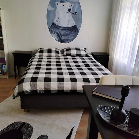 אקורירי Studio White Bears מראה חיצוני תמונה