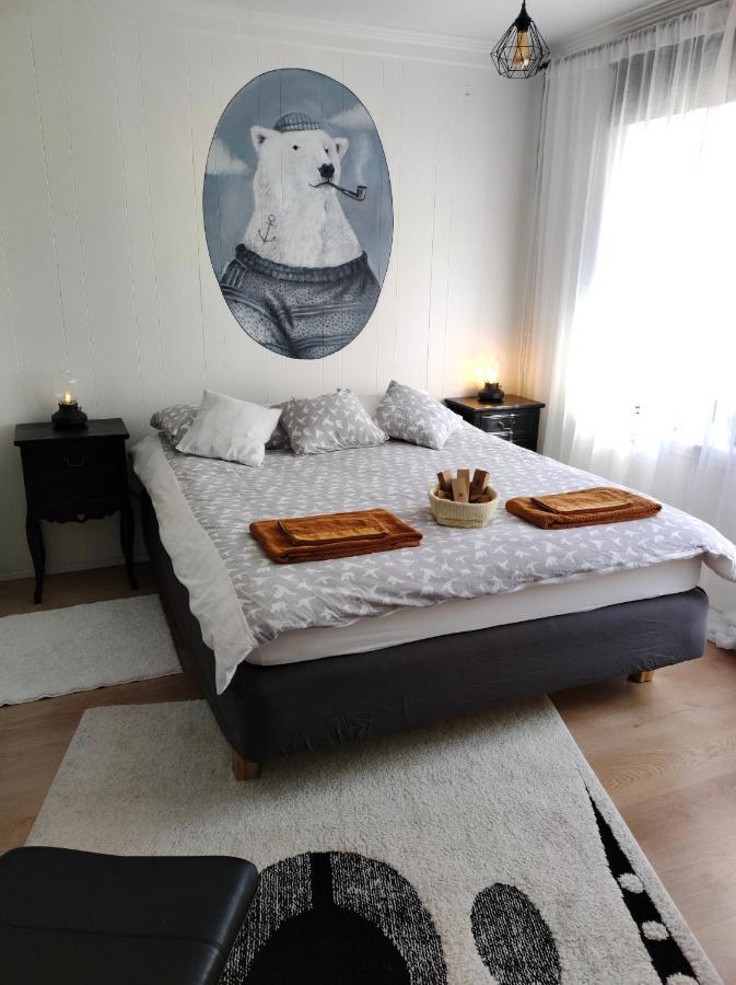 אקורירי Studio White Bears מראה חיצוני תמונה
